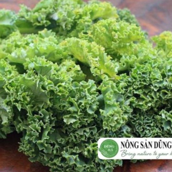rau-cai-xoan-xanh-la-gi