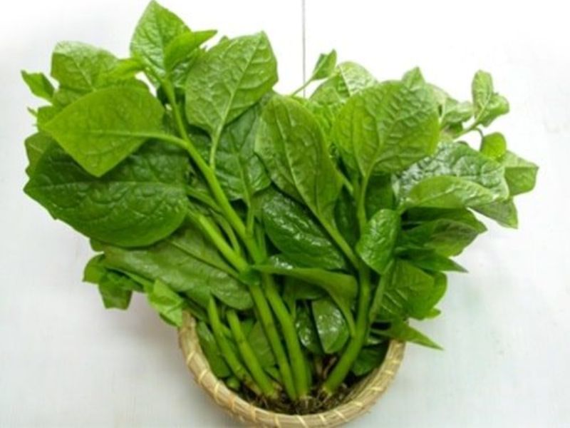rau-mong-toi-tuoi-ngon