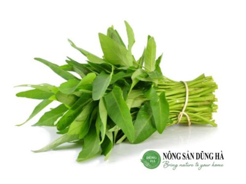 rau-muong-tuoi-ngon
