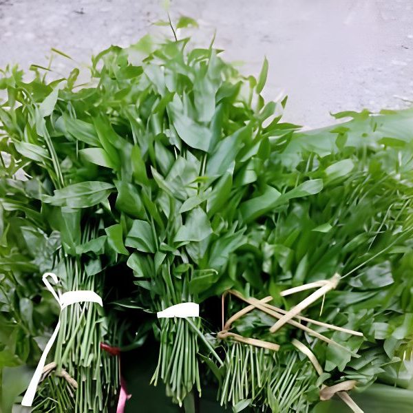 rau-sang-nong-san-dung-ha-chat-luong