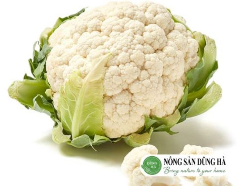 sup-lo-trang-tuoi-ngon
