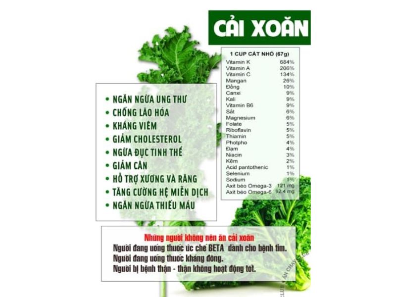 tai-sao-rau-cai-xoan-chua-nhieu-canxi