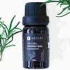 tinh-dau-huong-thao-rosemary-dung-ha-chat-luong