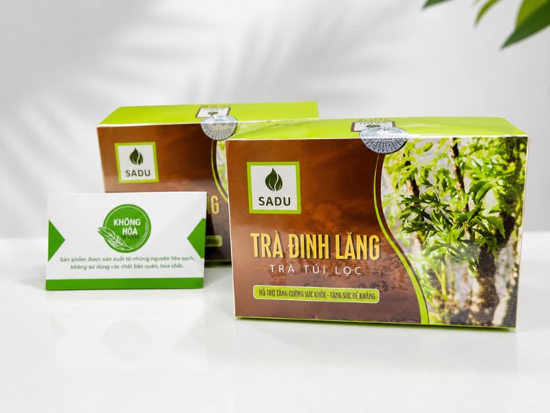 tra-dinh-lang-tui-loc-dung-ha