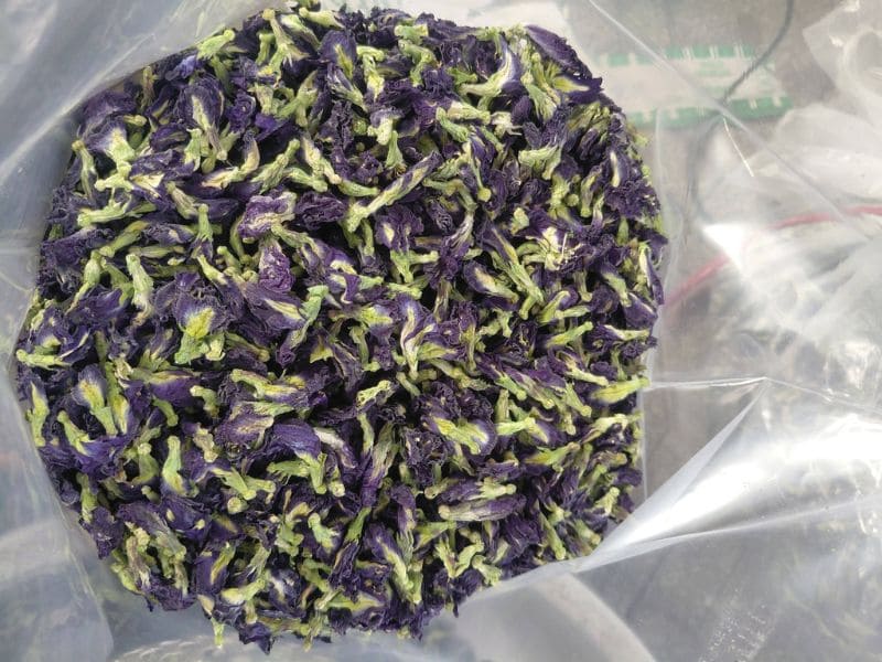 tra-hoa-dau-biec-dung-ha-gia-re