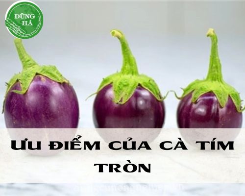 uu-diem-ca-tim-tron