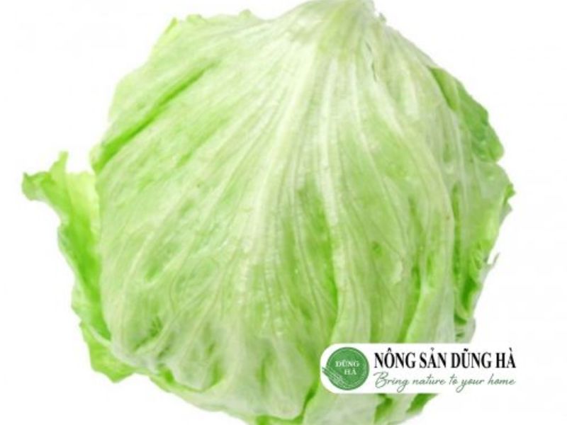 xa-lach-bup-my-iceberg-la-gi