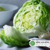 xa-lach-my-iceberg-dung-ha-chat-luong