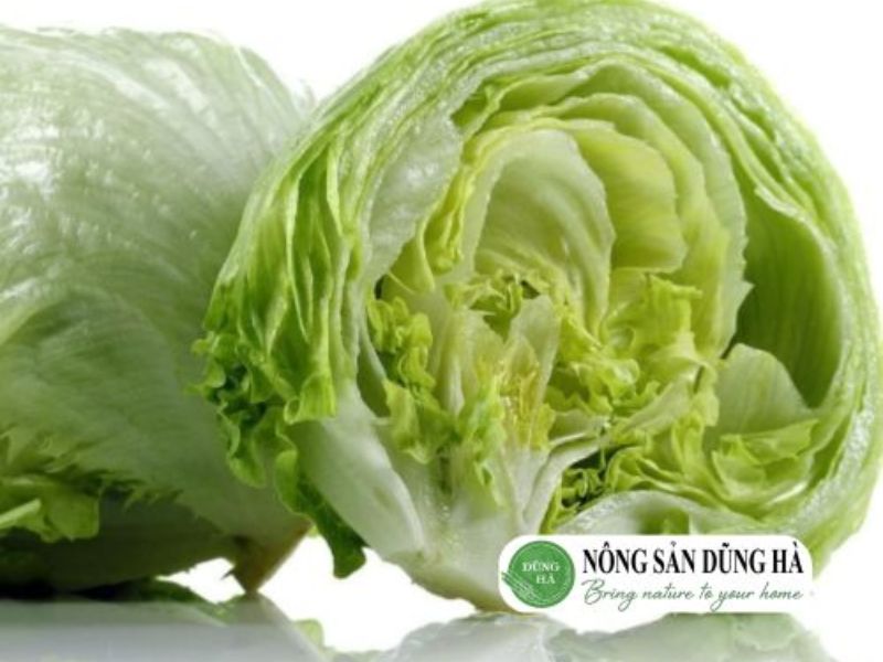 xa-lach-my-iceberg-ngon