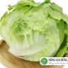 xa-lach-my-iceberg-nong-san-dung-ha