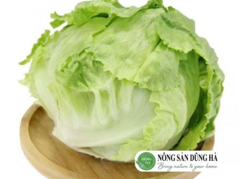 xa-lach-my-iceberg-nong-san-dung-ha