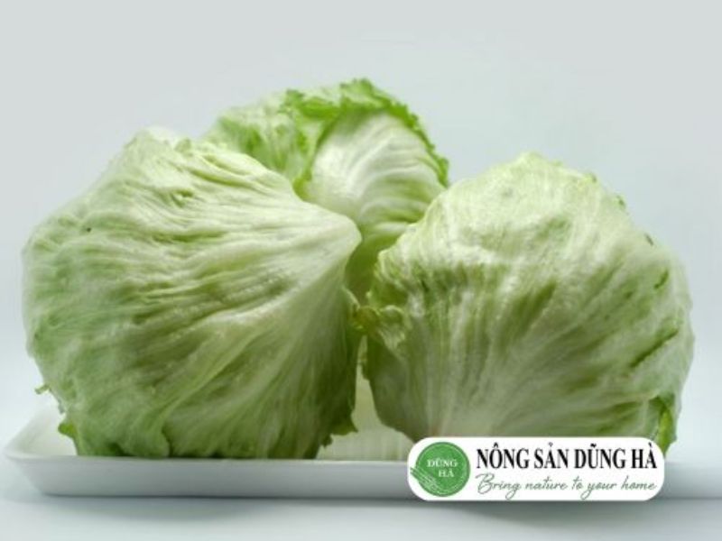 xa-lach-my-iceberg-tuoi