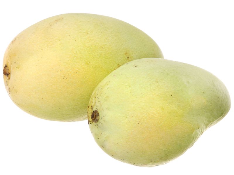 xoai-tu-quy-dung-ha-gia-tot