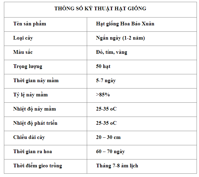 bao xuan 1