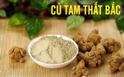 Mua bột tam thất sạch ở đâu Hà Nội?