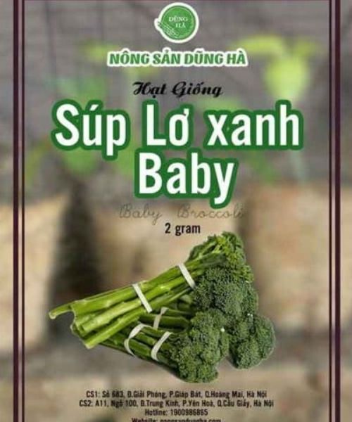 cách trồng súp lơ xanh