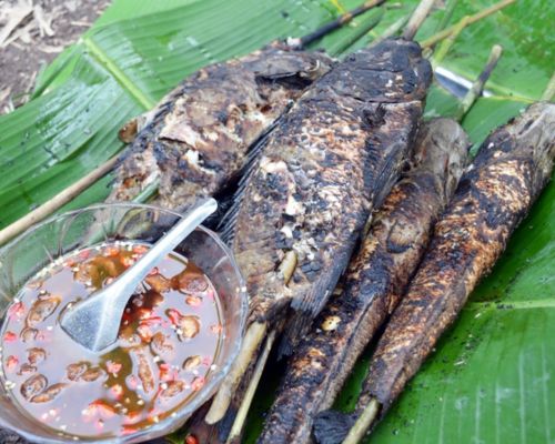 dac-san-ninh-binh-ca-nuong-rom