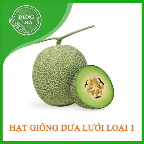 hat-gong-dua-luoi-loi-xanh