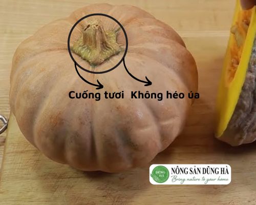 gia-bi-do-hom-nay-bao-nhieu-tien