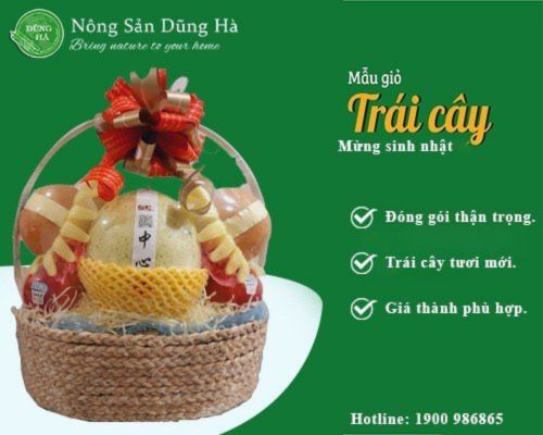 gio-trai-cay-chuc-mung-sinh-nhat