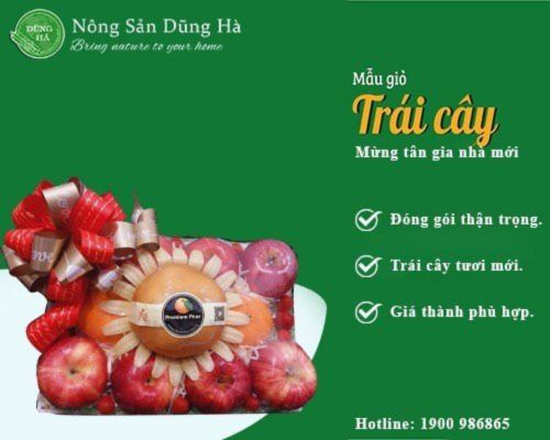 gio-trai-cay-mung-tan-gia-nha-moi