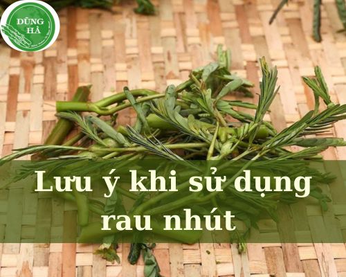 luu-y-khi-su-dung-rau-nhut