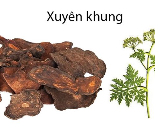 mua-xuyen-khung-o-dau-uy-tin-chat-luong