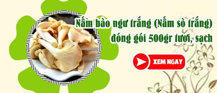 nấm bào ngư nấu gì ngon