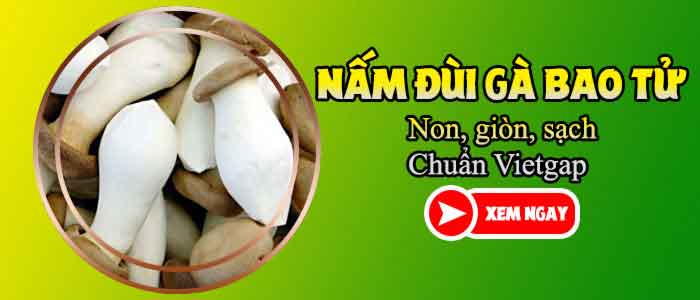 chế biến nấm đùi gà