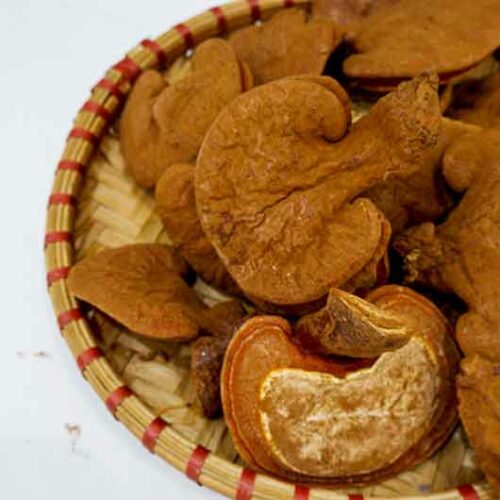 nam-linh-chi-do-viet-nam
