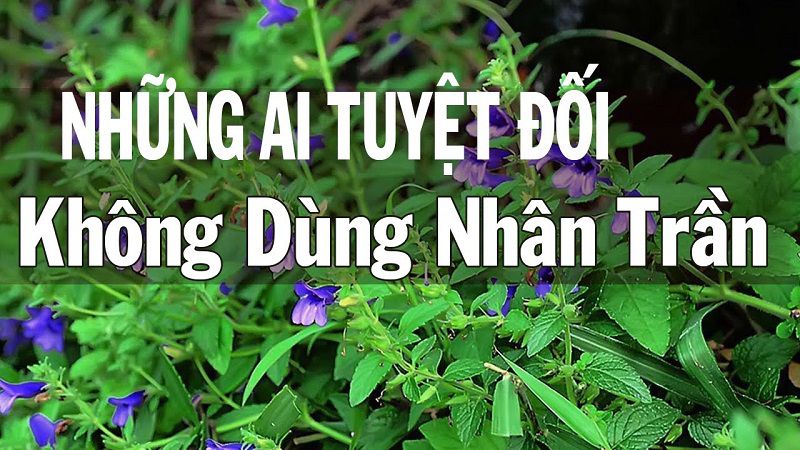 tac-dung-cua-nhan-tran