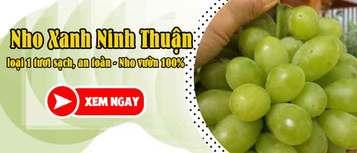 phân biệt nho ninh thuận