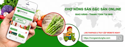 nông sản dũng hà cung cấp rau sạch tại hà nội