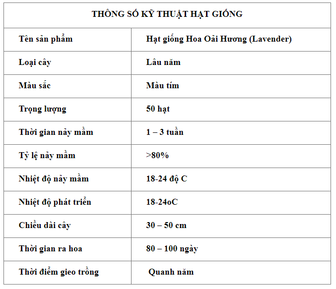 oai huong 1