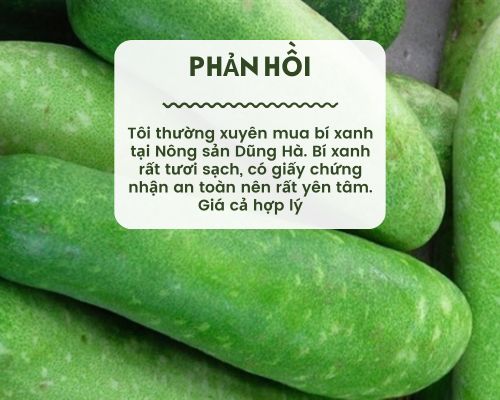 phan-hoi-bi-xanh