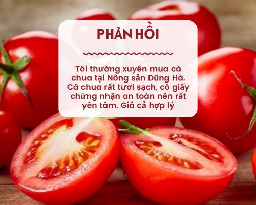 phan-hoi-ca-chua