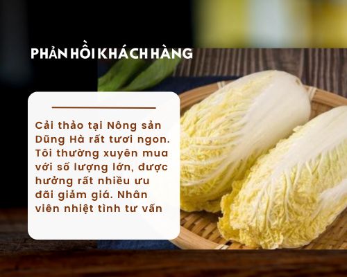 phan-hoi-cai-thao