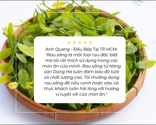 phan-hoi-cua-khach-hang-ve-rau-sang