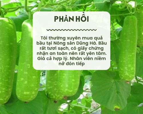 phan-hoi-qua-bau