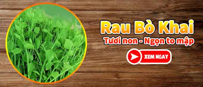 tác dụng của rau bò khai