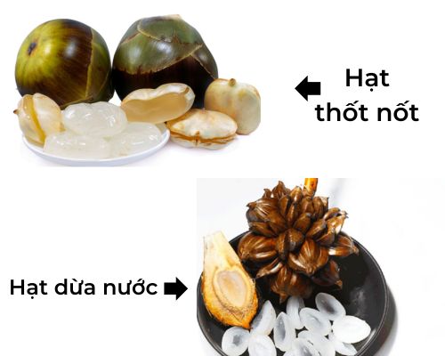 thot-not-dua-nuoc