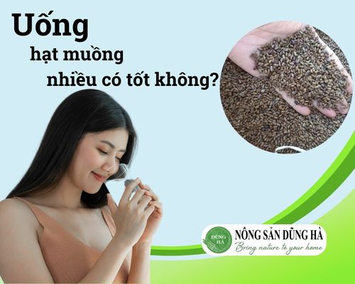 uong-hat-muong-nhieu-co-tot-khong