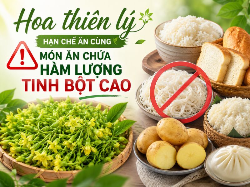 bat-mi-hoa-thien-ly-ky-voi-gi