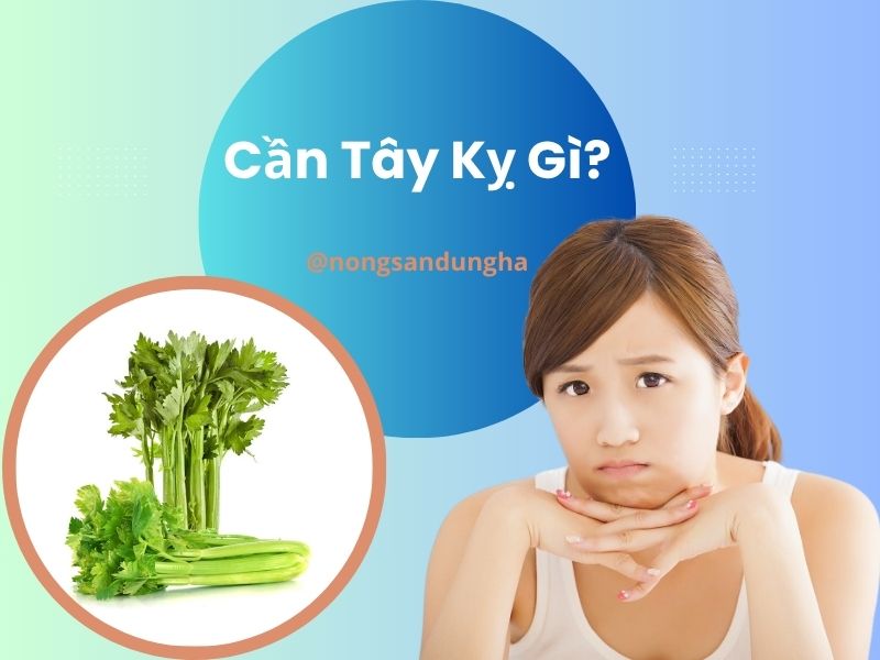 can-tay-ky-gi