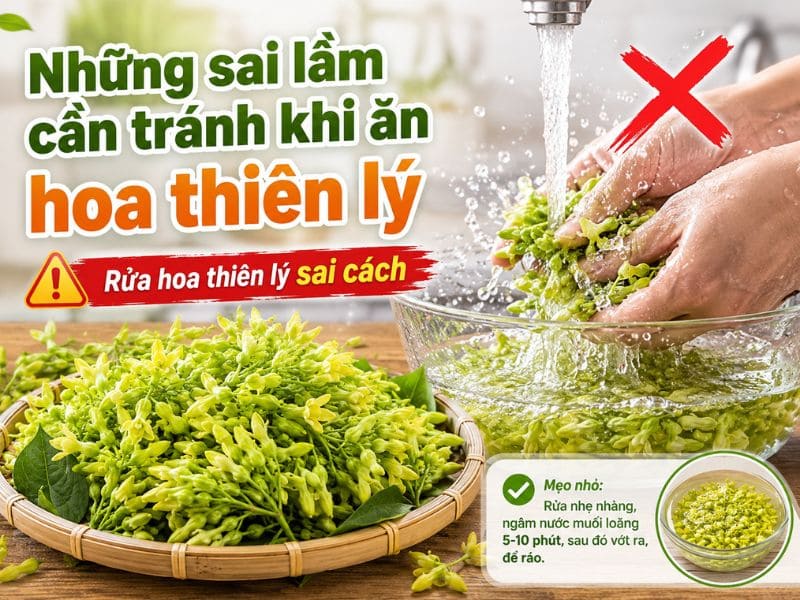 goc-bat-mi-hoa-thien-ly-ky-voi-gi