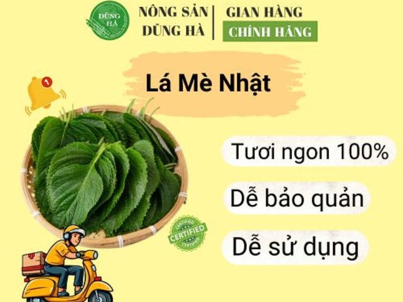 la-me-nhat-dung-ha