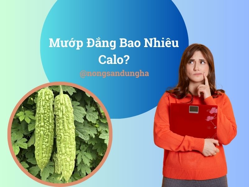 muop-dang-bao-nhieu-calo-trong-100g