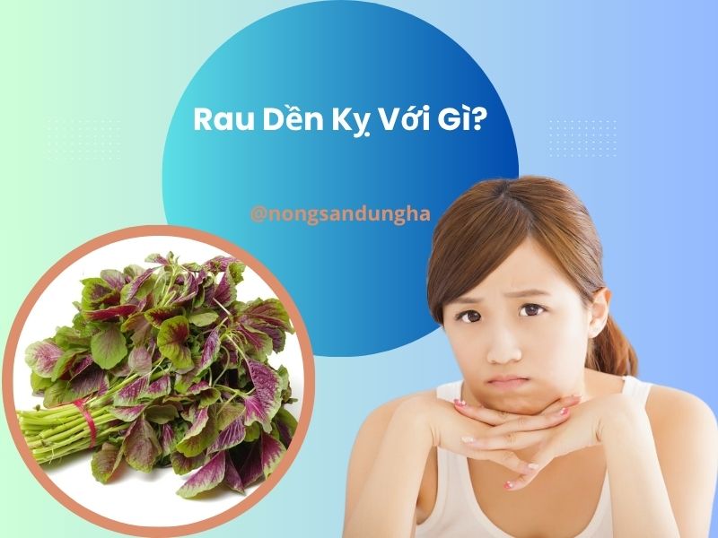 rau-den-ky-voi-gi