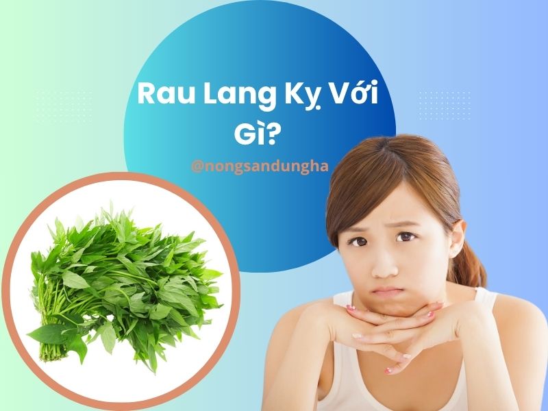 rau-lang-ky-voi-gi