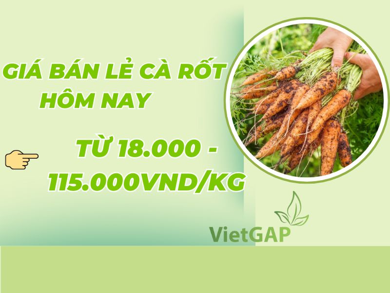 thac-mac-gia-ca-rot-hom-nay-bao-tien